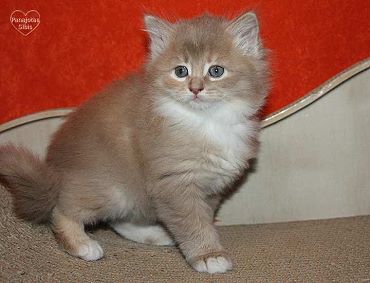 Bild "o_wurf:ottilie2.jpg"